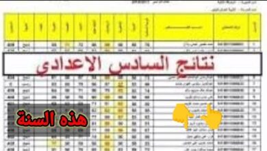 نتائج السادس المهني الخارجي 2026