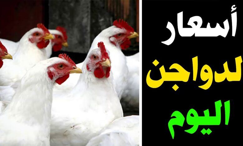 اسعار الدواجن اليوم