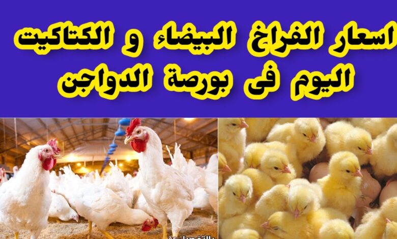 أسعار الفراخ البيضاء اليوم الآن