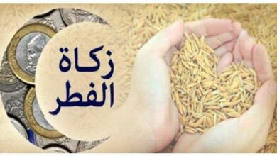 طريقة إخراج زكاة الفطر عبر الراجحي إلكترونيًا.. الطريقة الصحيحة بالتفصيل
