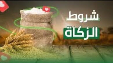 تعرف على قيمة زكاة الفطر للفرد لعام 2026 وأحكامها الشرعية