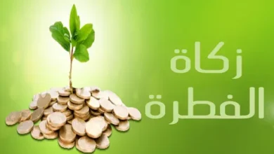طريقة تحديد قيمة زكاة الفطر 2026 لعائلة كاملة بأسهل الخطوات في مصر