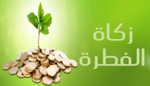 طريقة تحديد قيمة زكاة الفطر 2026 لعائلة كاملة بأسهل الخطوات في مصر
