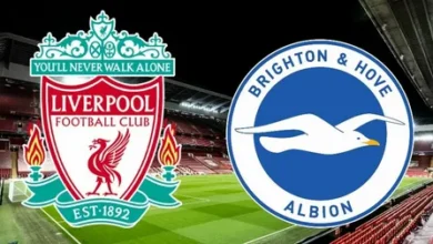 تابع مباراة ليفربول وبرايتون مباشرة بجودة 4K مع التعليق الحصري لأحمد البلوشي على beIN Sports