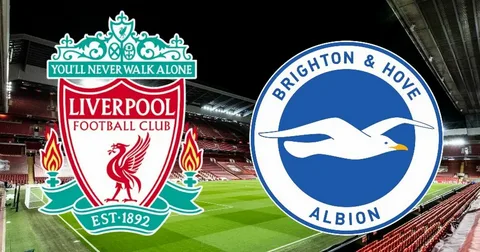 تابع مباراة ليفربول وبرايتون مباشرة بجودة 4K مع التعليق الحصري لأحمد البلوشي على beIN Sports