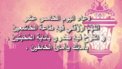 أفضل أدعية اليوم الخامس عشر من رمضان 1447.. رددها الآن لتيسير الأمور وفك الكرب