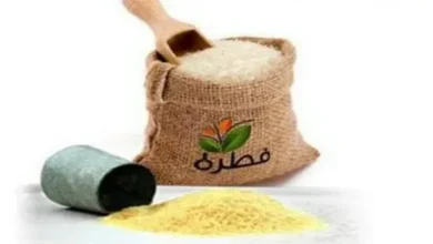 الإفتاء تكشف قيمة زكاة الفطر وأهم أحكامها التي يجب أن تعرفها قبل رمضان