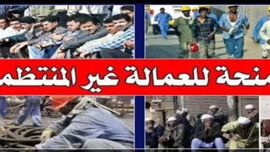 صرف 1500 جنيه.. استعلم عن منحة العمالة غير المنتظمة 2026 بالرقم القومي الآن