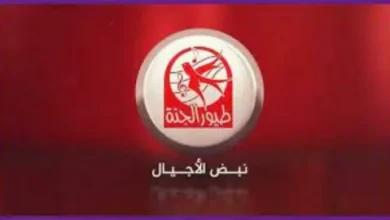 اكتشف التردد الجديد لقناة طيور الجنة 2026 على نايل سات وعرب سات لمتابعة أفضل برامج الأطفال