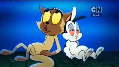 اضبط الآن.. تردد قناة كرتون نتورك بالعربية الجديد 2026 لمشاهدة أفضل الرسوم المتحركة