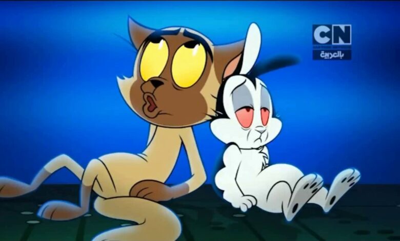 اضبط الآن.. تردد قناة كرتون نتورك بالعربية الجديد 2026 لمشاهدة أفضل الرسوم المتحركة