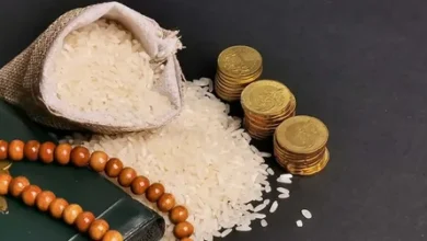 كم تبلغ زكاة الفطر في مصر 2026؟.. الموعد والقيمة وطريقة الدفع الصحيحة