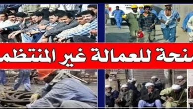 كيفية الاستعلام عن منحة العمالة غير المنتظمة 2026 بالرقم القومي عبر موقع وزارة القوى العاملة