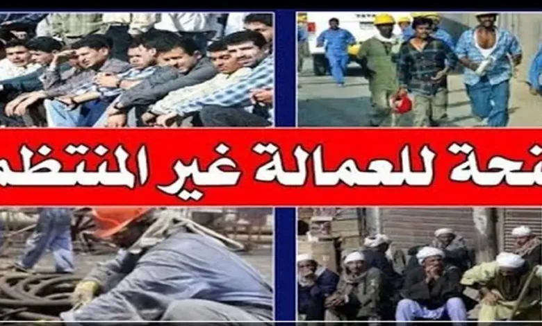 كيفية الاستعلام عن منحة العمالة غير المنتظمة 2026 بالرقم القومي عبر موقع وزارة القوى العاملة