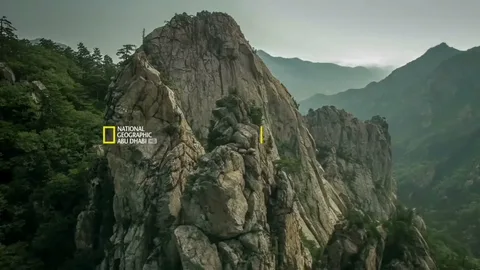 استمتع بعالم الطبيعة المذهل.. اضبط الآن تردد ناشيونال جيوغرافيك أبوظبي 2026 بجودة HD