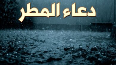 أدعية المطر المستجابة.. أفضل الأدعية المكتوبة لطلب الرزق والفرج عند نزول الغيث