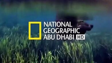 اضبط الآن.. تردد قناة ناشيونال جيوغرافيك 2026 لمغامرات العلوم والطبيعة من منزلك