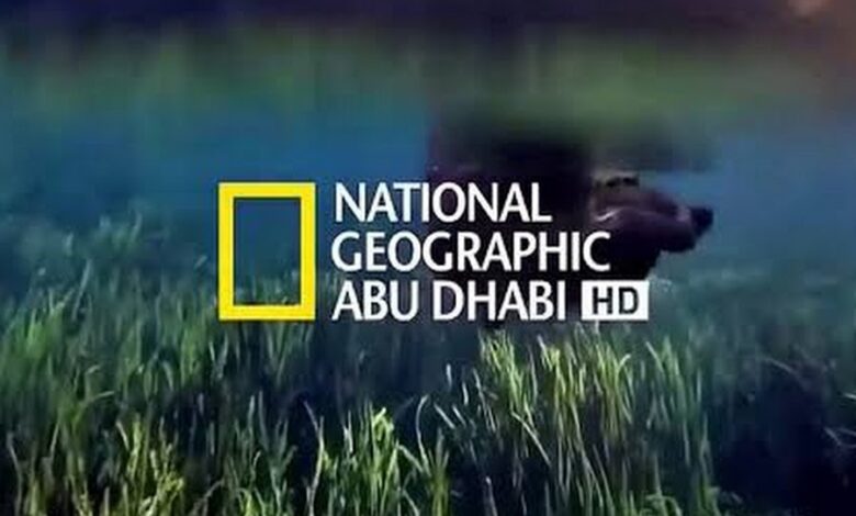 اضبط الآن.. تردد قناة ناشيونال جيوغرافيك 2026 لمغامرات العلوم والطبيعة من منزلك