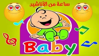 اضبط الآن تردد طيور الجنة 2026 على نايل سات لمشاهدة محتوى أطفال ممتع وتعليمي