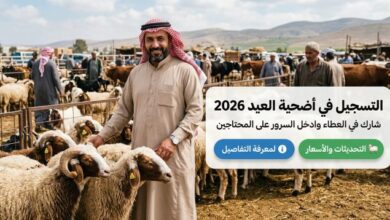 رابط تسجيل أضحية العيد 2026 عبر منصة أضاحي adhahi.dz بالرقم التعريفي خطوة بخطوة بسهولة