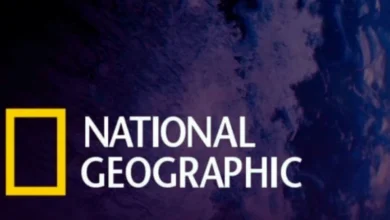 استقبل الآن تردد ناشيونال جيوغرافيك 2026 HD لمشاهدة أقوى أفلام الطبيعة والاستكشاف