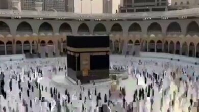 طريقة حجز عربة مجانية بالحرمين عبر منصة تنقل carts.alharamain.gov.sa خطوة بخطوة