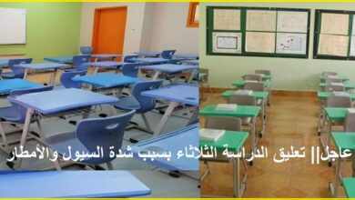 تعطيل مفاجئ للدراسة اليوم بسبب الطقس السيئ تعرف على المدارس والجامعات المتأثرة الآن