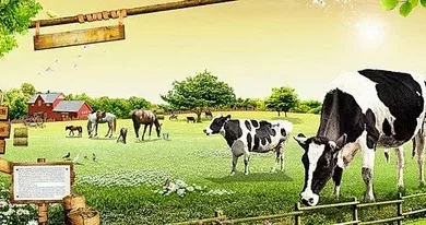 سجّل الآن في منصة أضاحي 2026 عبر adhahi.dz باستخدام رقم التعريف بخطوات سهلة وسريعة