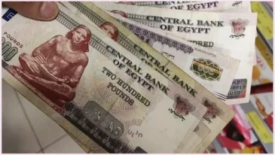 مفاجأة مرتقبة لموظفي الدولة 2026.. موعد صرف مرتبات مايو والزيادات الجديدة في الأجور والتفاصيل الكاملة للحوافز المقبلة