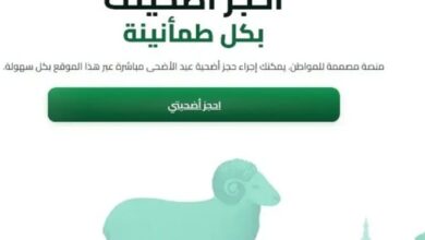 احجز أضحيتك الآن 2026.. رابط منصة أضاحي الجزائرية وخطوات التسجيل عبر adhahi.dz