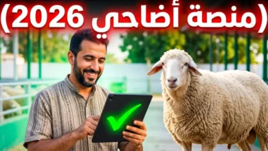 كيفية حجز أضحية العيد 2026 إلكترونياً عبر منصة adhahi.dz.. الرابط الرسمي والأسعار