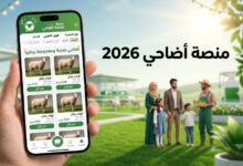 خطوة بخطوة.. رابط وطريقة التسجيل في منصة أضاحي adahi.dz لشراء أضحية عيد الأضحى 2026 بسهولة وأمان