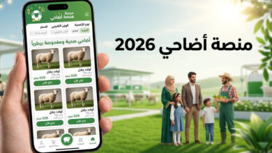 خطوة بخطوة.. رابط وطريقة التسجيل في منصة أضاحي adahi.dz لشراء أضحية عيد الأضحى 2026 بسهولة وأمان