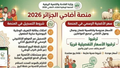 شروط التسجيل في منصة أضاحي الجزائر 2026 والسعر الرسمي للأضحية داخل المنصة وكيفية الاستفادة من الخدمة بسهولة