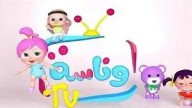 اضبط الآن.. طريقة استقبال قناة وناسة على نايل سات بجودة HD خطوة بخطوة