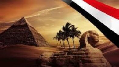 إقامة أطول وفرص أكبر.. تأشيرة جديدة من مصر في الجزائر لمدة 5 سنوات