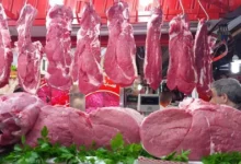 لماذا تقفز أسعار لحوم الأبقار في المغرب؟.. أزمة جديدة تهدد موائد المواطنين