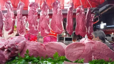 لماذا تقفز أسعار لحوم الأبقار في المغرب؟.. أزمة جديدة تهدد موائد المواطنين