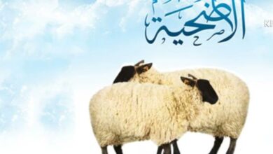 هل يمكن الجمع بين الهدي والأضحية؟.. الإفتاء توضح الحكم الشرعي وتكشف التفاصيل