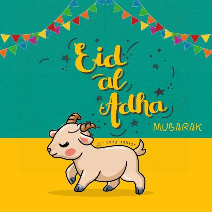 أفضل رسائل تهنئة عيد الأضحى 2026 مكتوبة للأهل والأصدقاء والأحباب