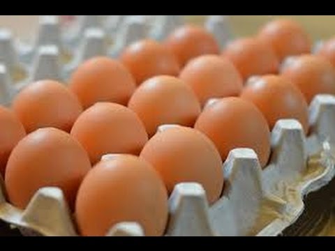ارتفاع مفاجئ في أسعار البيض الأحمر اليوم الأربعاء 13 مايو 2026.. تعرف على آخر تحركات الأسواق وأسباب الصعود الجديد