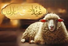 أفضل رسائل تهنئة عيد الأضحى 2026 للأهل والأصدقاء وأجمل عبارات المعايدة المكتوبة