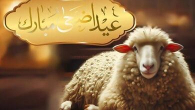 أفضل رسائل تهنئة عيد الأضحى 2026 للأهل والأصدقاء وأجمل عبارات المعايدة المكتوبة
