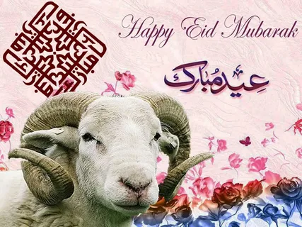 أفضل رسائل تهنئة عيد الأضحى 2026 للأهل والأصدقاء وأجمل عبارات المعايدة المكتوبة