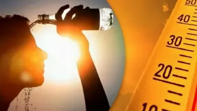 حالة الطقس اليوم.. موجة حر شديدة ورياح مثيرة للرمال وفرص أمطار خفيفة