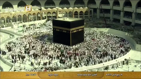 تردد قناة الحج السعودية 2026 على النايل سات.. الحقيقة الكاملة والترددات الرسمية الجديدة