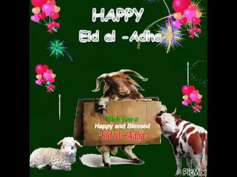 أجمل تهاني عيد الأضحى 2026 الجاهزة للنشر على السوشيال ميديا