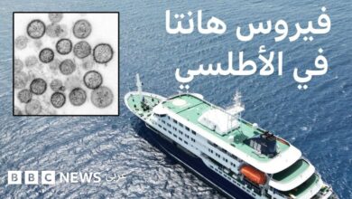 تصريحات مطمئنة.. الصحة العالمية تصدر بيانًا عاجلًا عن فيروس هانتا