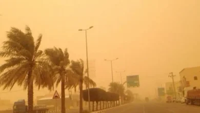 طقس السعودية اليوم يشهد موجة حر قوية ورياح محملة بالأتربة في عدة مناطق