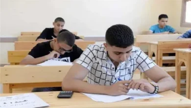 أرقام جلوس الثانوية العامة 2026.. طريقة الاستعلام السهلة والرابط الرسمي